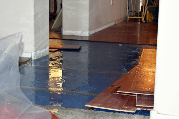Professional Basement Flood Cleanup technician working in Kincaid, IL